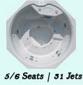 Orion Hot Tub
